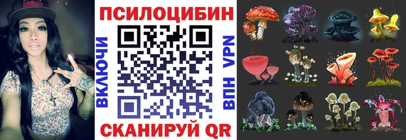 Псилоцибиновые грибы GOLDEN TEACHER  Купить закладки  Городище 